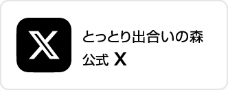 公式X